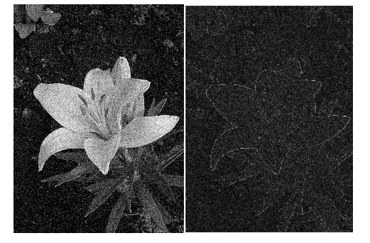 Fig 4 - Sobel processing for noisy image